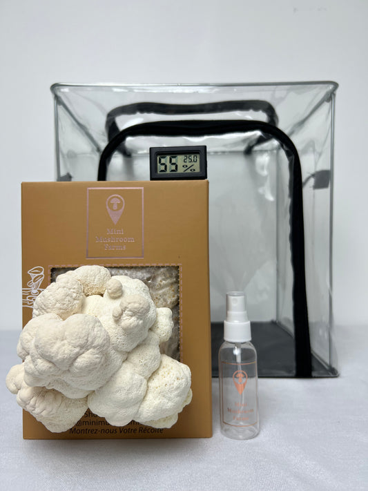 Essentials Bundle Gift Set +2 Grow Kits