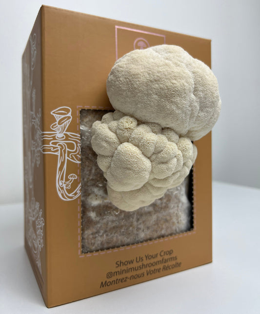 Paquete de 2 kits de cultivo